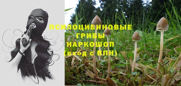 прущие крисы Нефтекумск